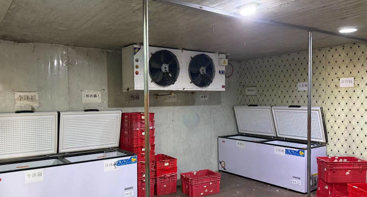 汕头市地区处理冻库