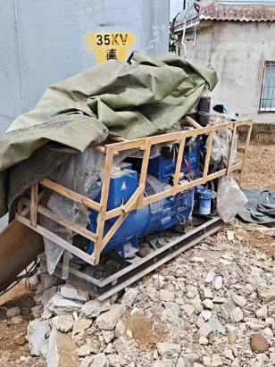 临沧市地区处理三相交流同步发电机