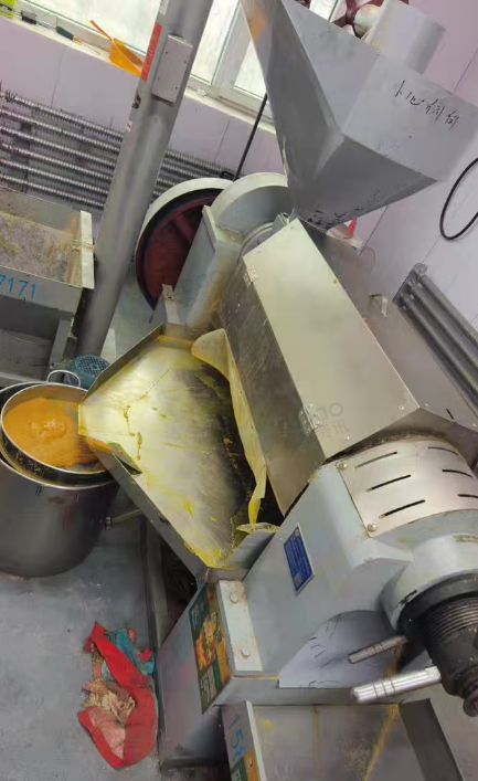 长春市地区工厂处理榨油机