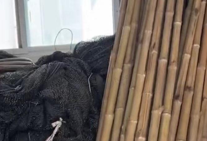 许昌市地区处理钢管、白框、遮阳网等种植生姜工具