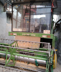 新乡市地区处理谷王60纯小麦机