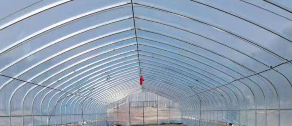 齐齐哈尔市地区处理400平方椭圆管大棚