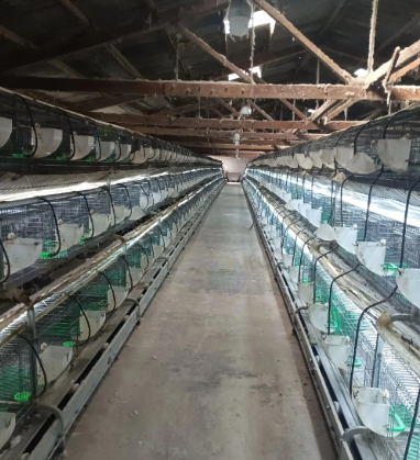 昆明市地区处理兔子养殖设备