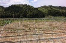 南平市地区处理大棚钢管