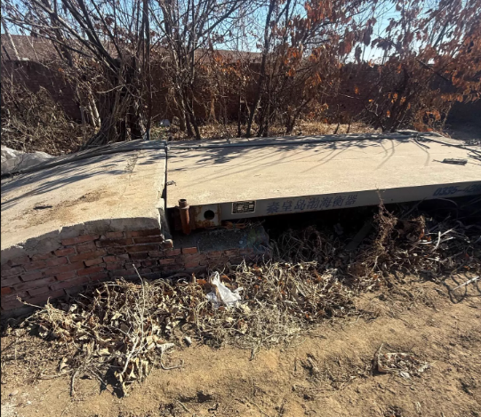 潍坊市地区处理SCS-PL电子汽车衡