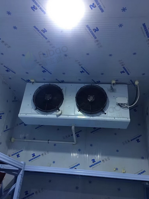 厦门市地区个人处理鲜花冷库