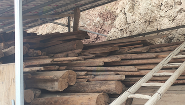 陇南市地区处理大量木材