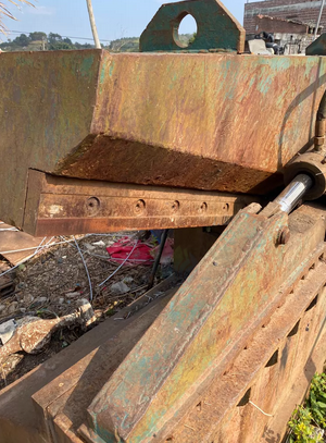 南宁市地区处理鳄鱼剪