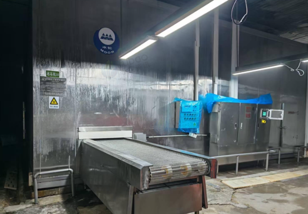 聊城市地区处理螺旋式速冻装置