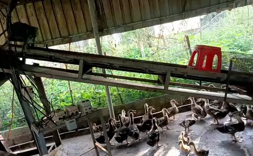 钦州地区处理破碎机