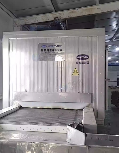 郑州地区工厂处理0.75吨速冻隧道