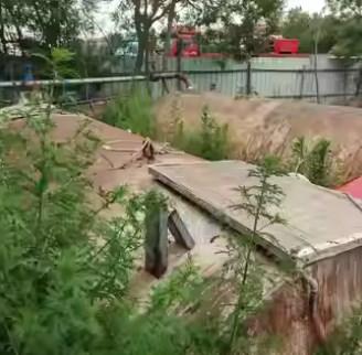 沧州地区处理6方泡花碱设备