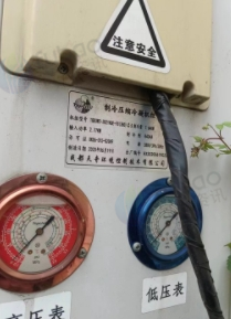 供应：洗菜机