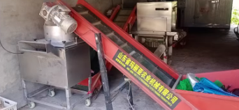 商丘市地区处理整套蒜米机