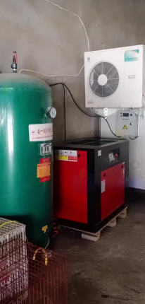 商丘市地区处理整套蒜米机